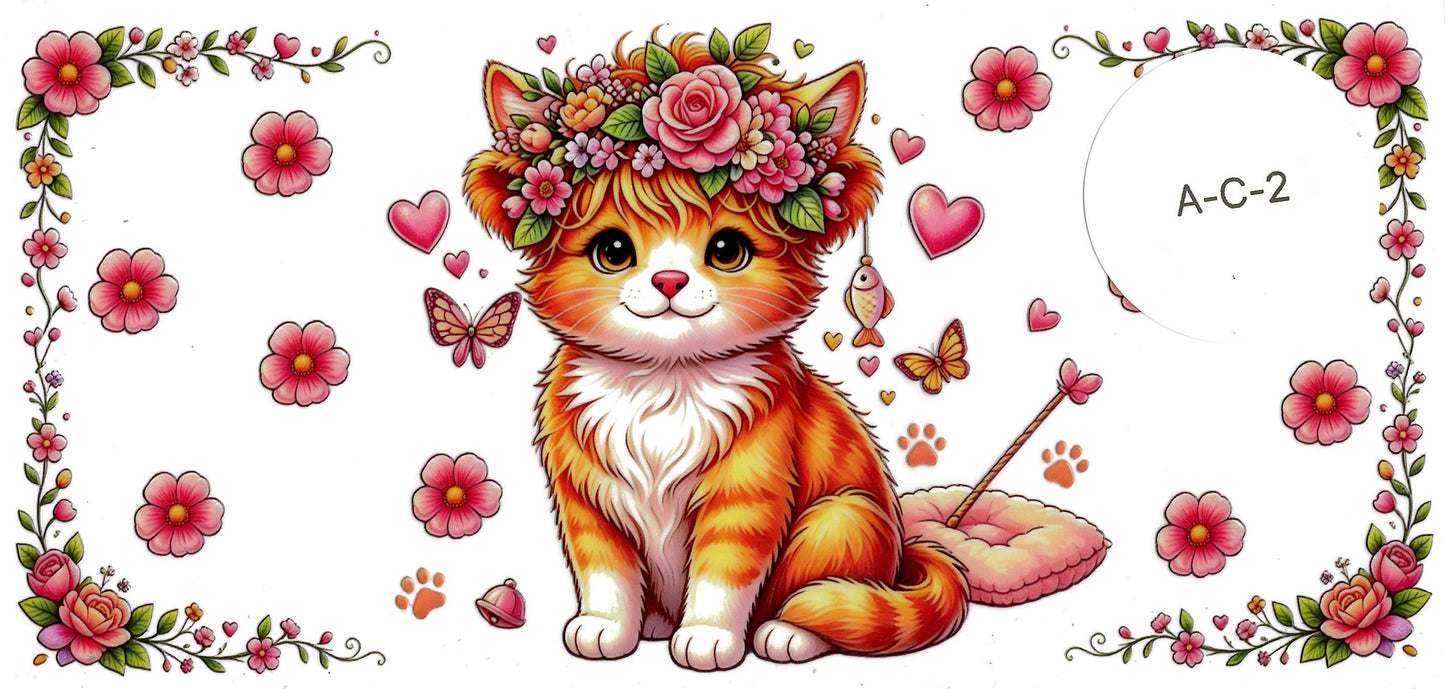Animal - Cat
