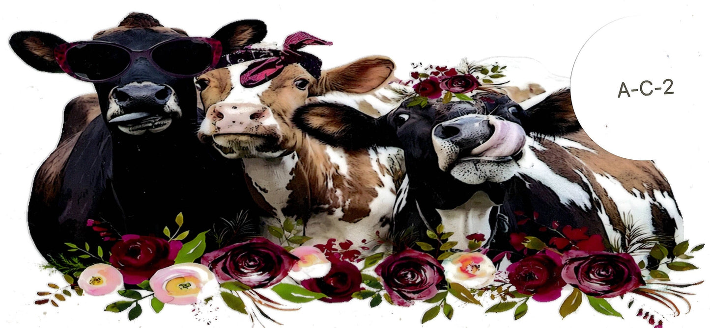 Animal - Cow