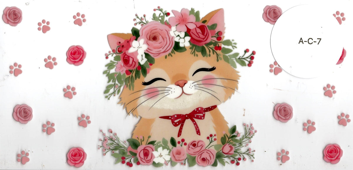 Animal - Cat