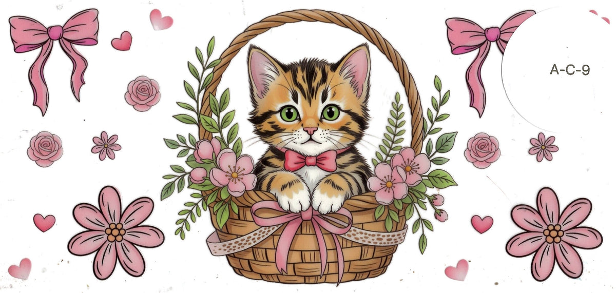 Animal - Cat