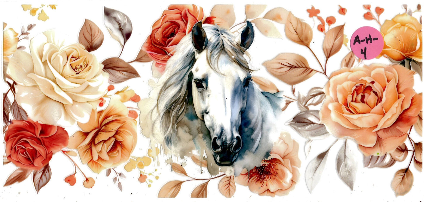 Animal - Horse