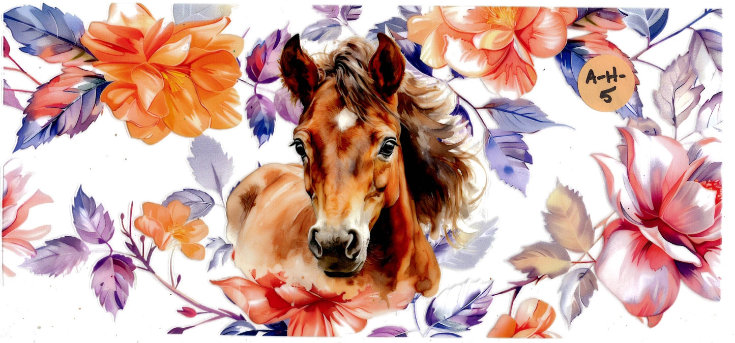 Animal - Horse