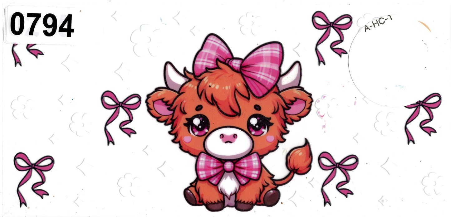 Animal - Highland Cow