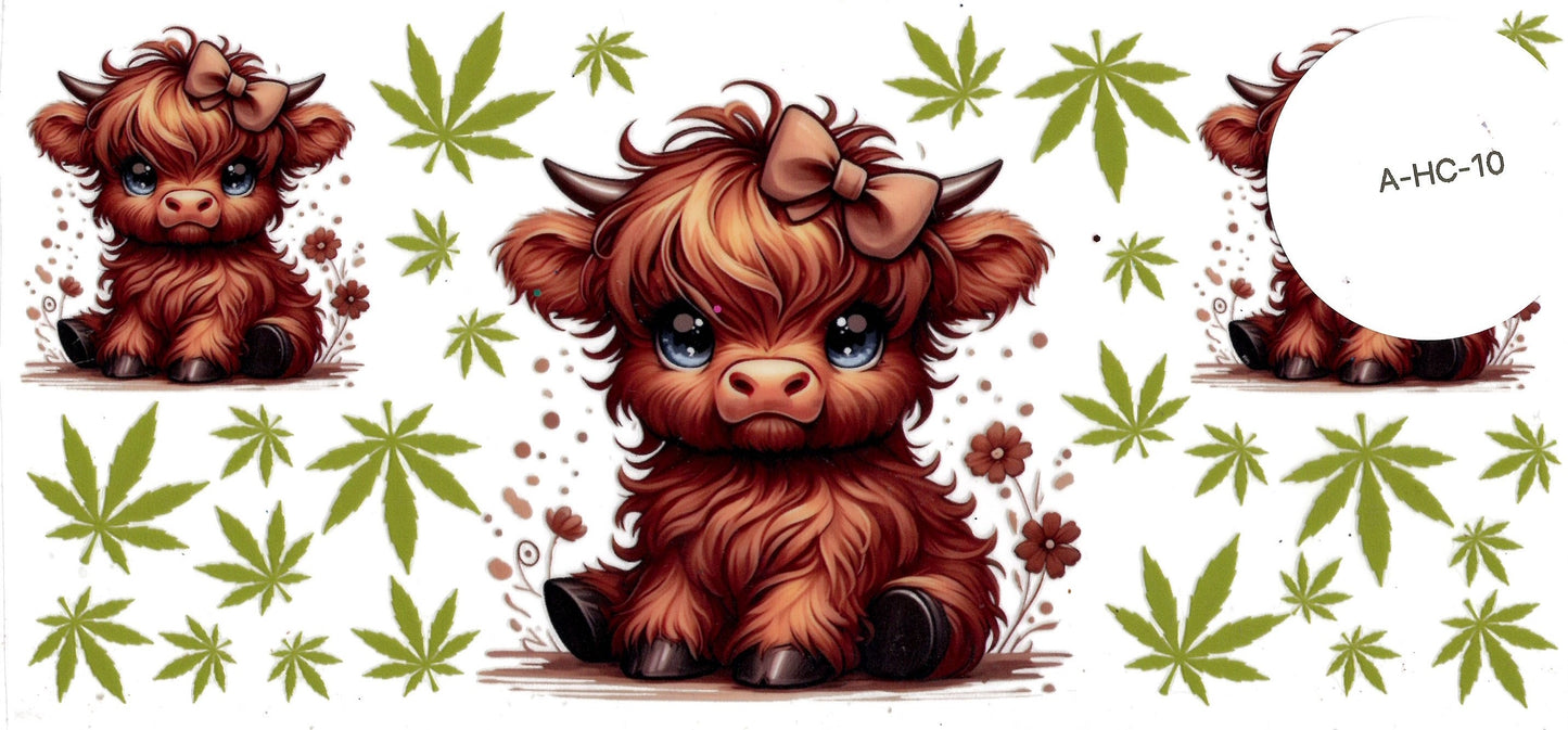 Animal - Highland Cow