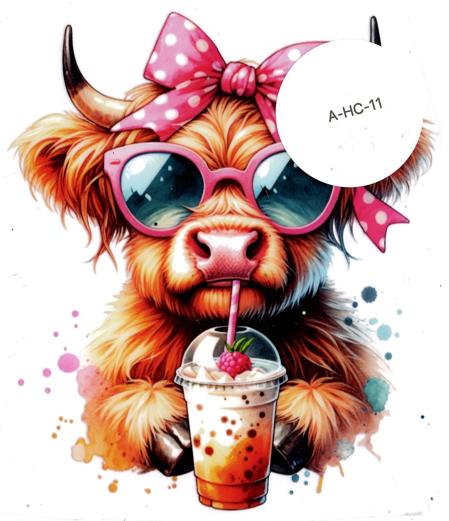 Animal - Highland Cow
