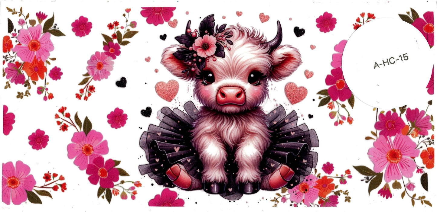 Animal - Highland Cow