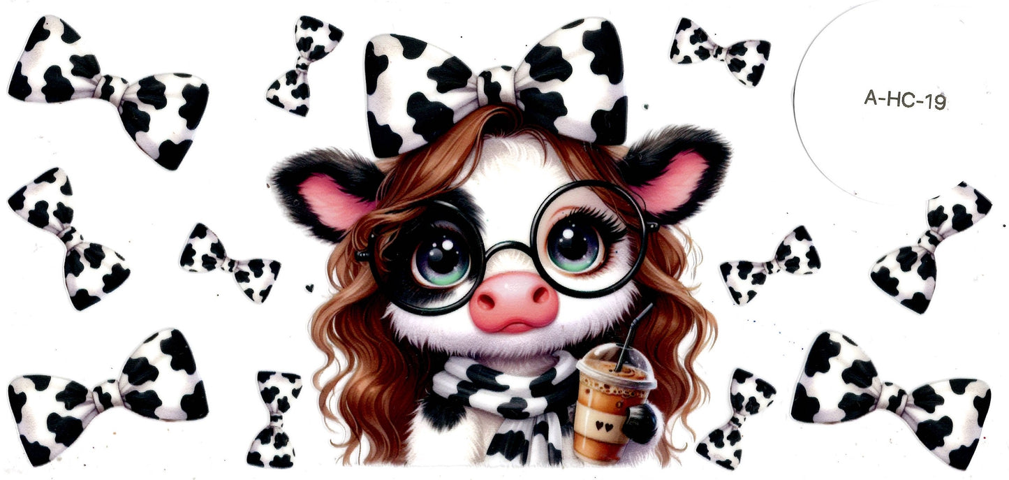 Animal - Highland Cow