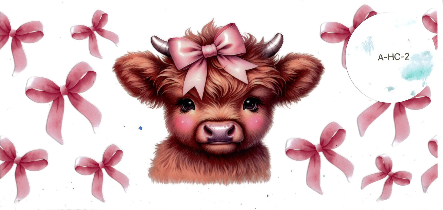 Animal - Highland Cow