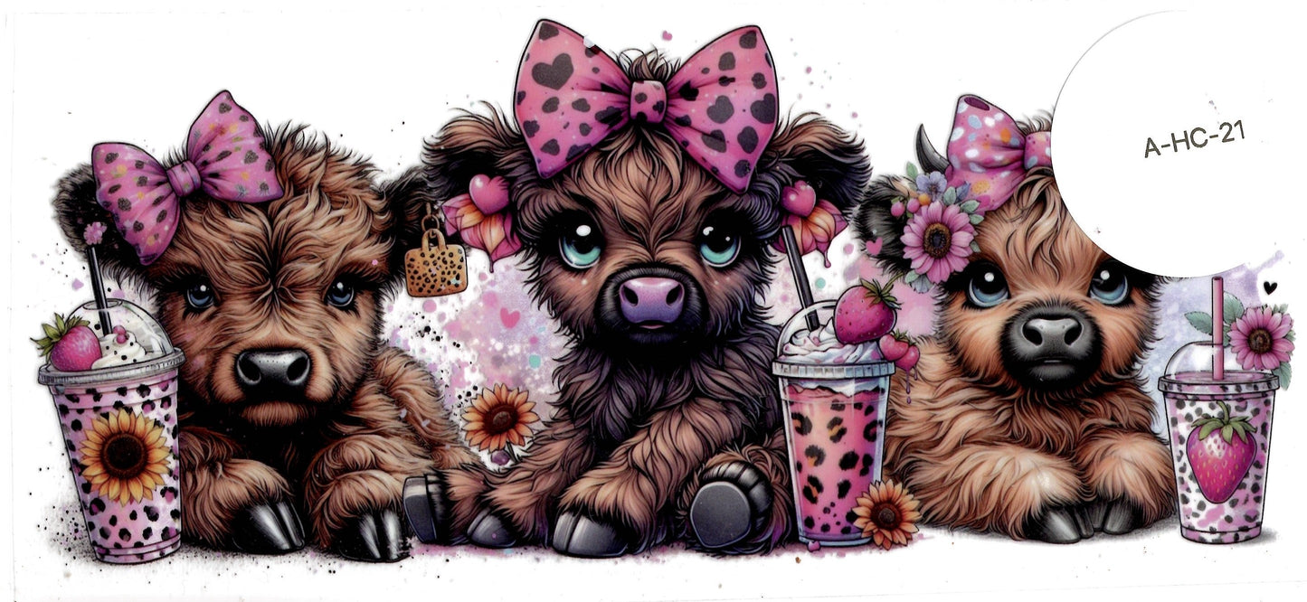 Animal - Highland Cow