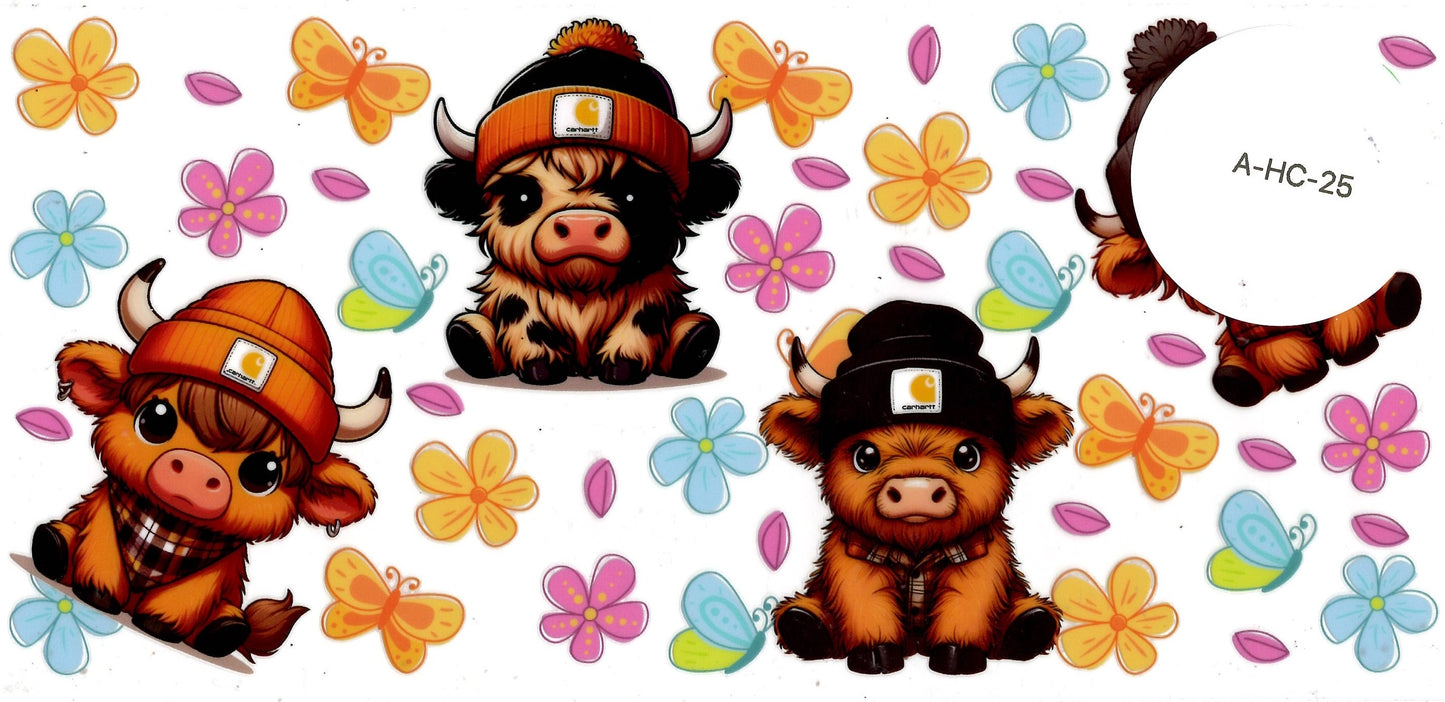 Animal - Highland Cow