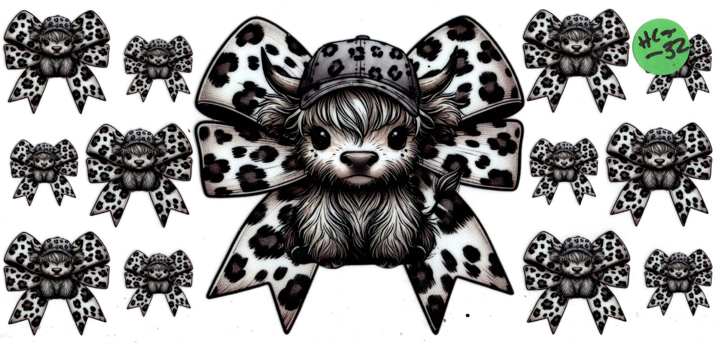 Animal - Highland Cow