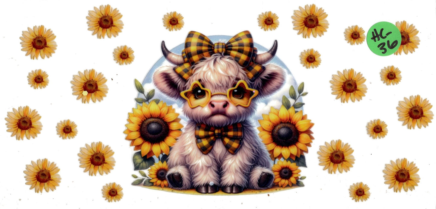 Animal - Highland Cow