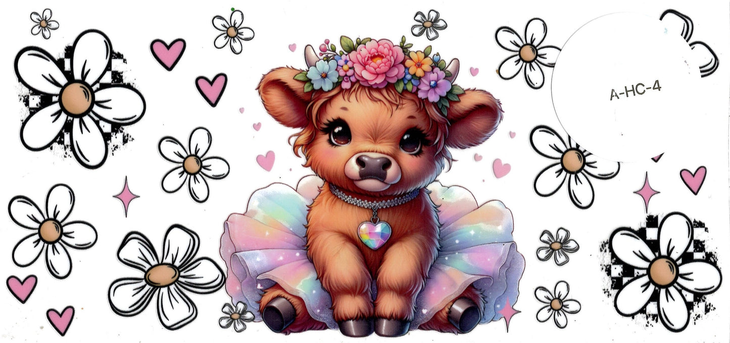 Animal - Highland Cow