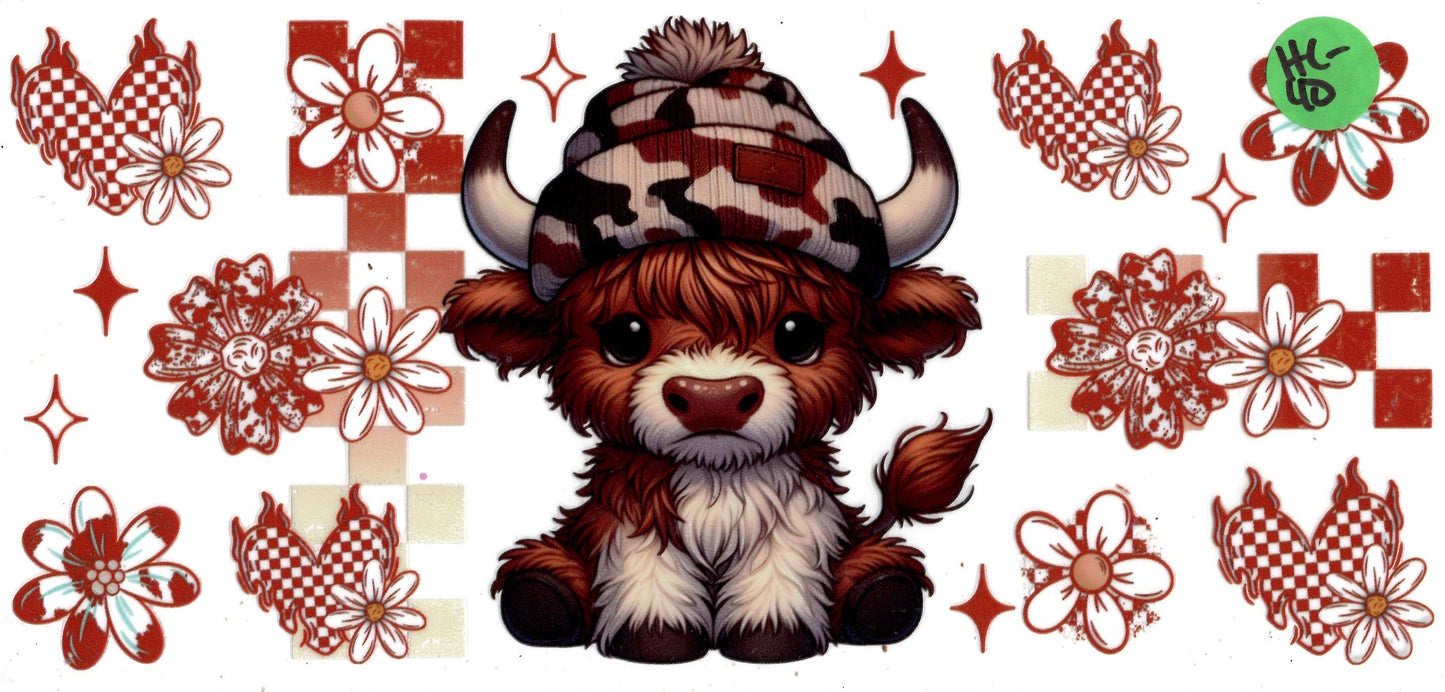 Animal - Highland Cow