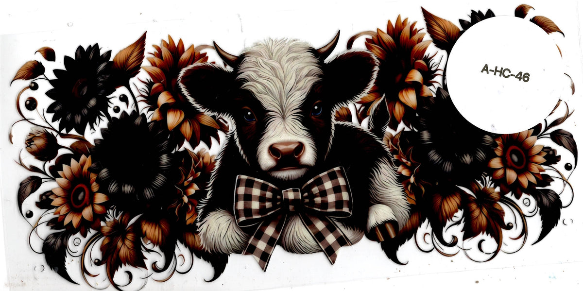 Animal - Highland Cow