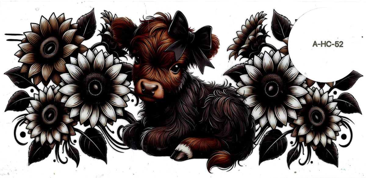 Animal - Highland Cow