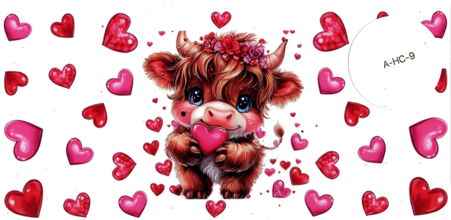 Animal - Highland Cow