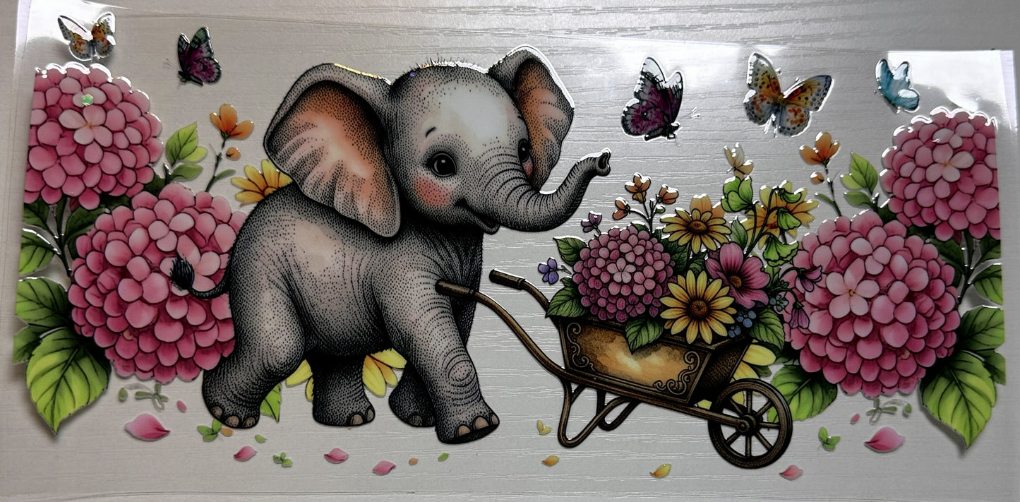 Animal - Wildlife #2