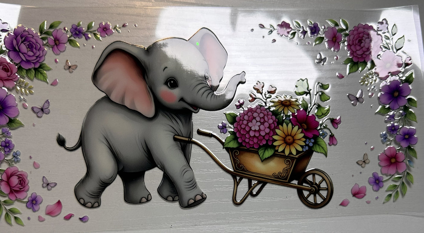 Animal - Wildlife #2
