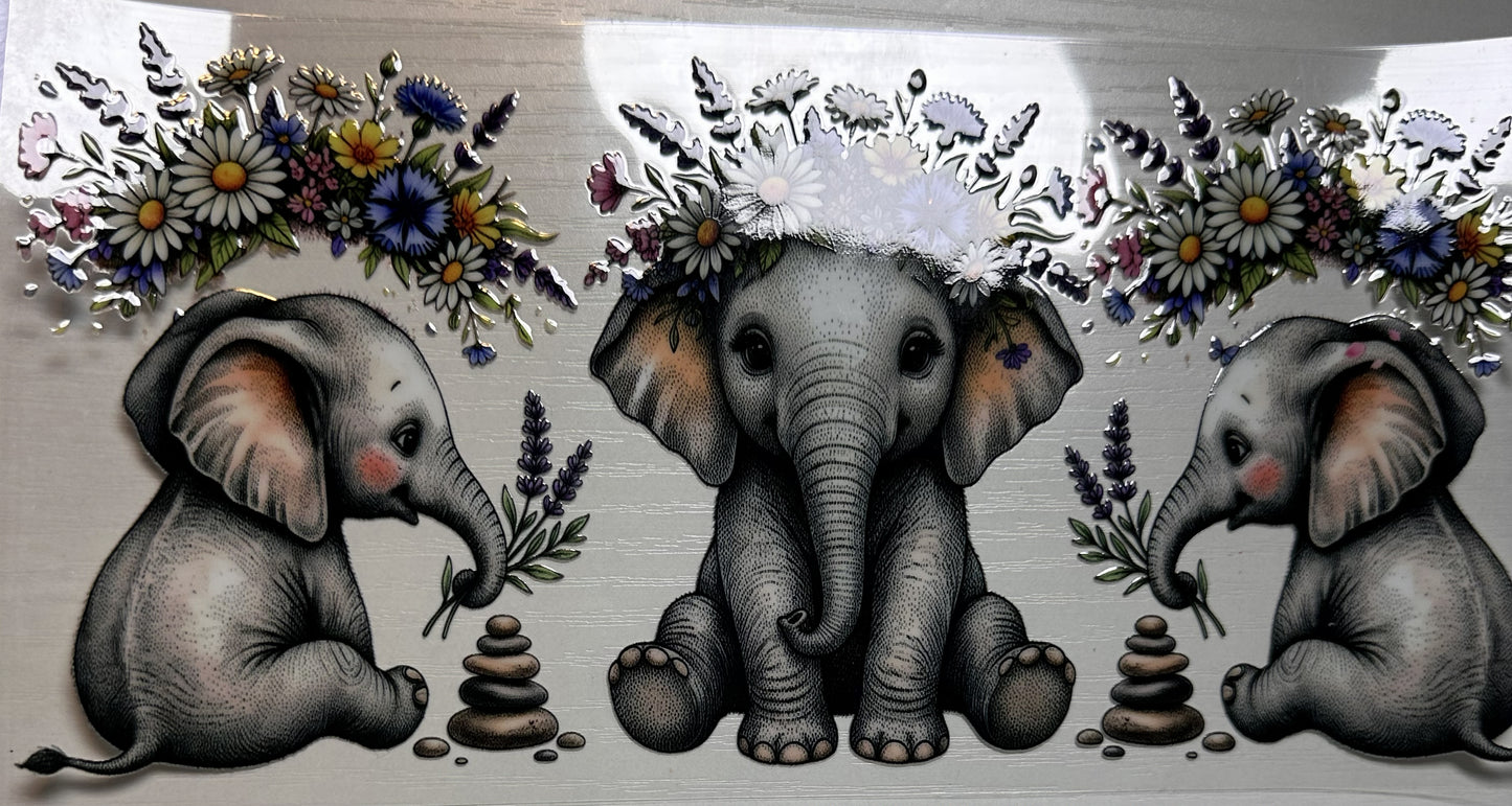 Animal - Wildlife #2