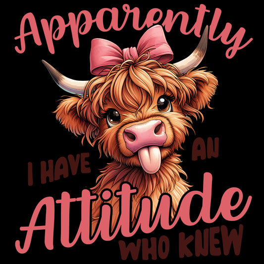 I have a attitude