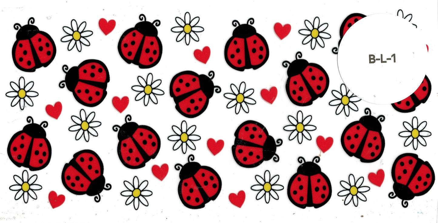Bug - Ladybug