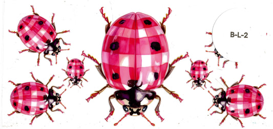 Bug - Ladybug