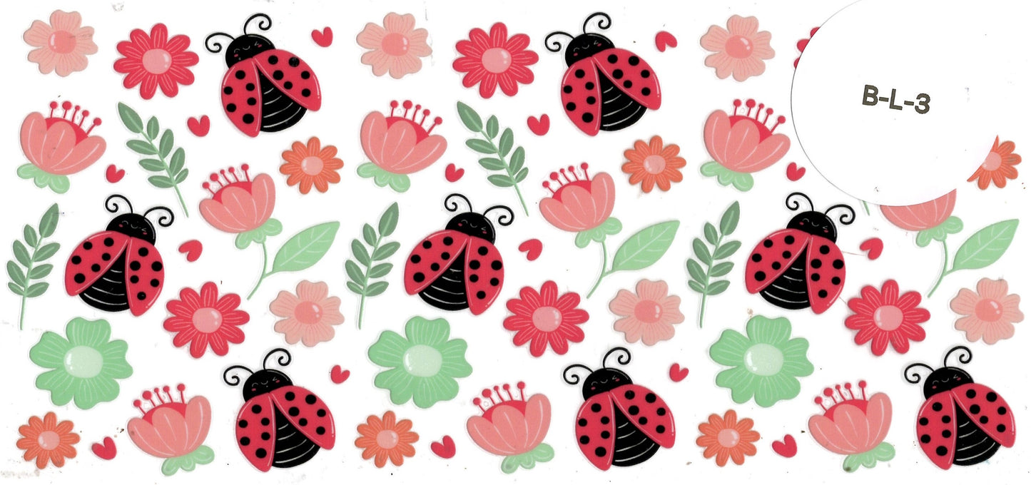 Bug - Ladybug