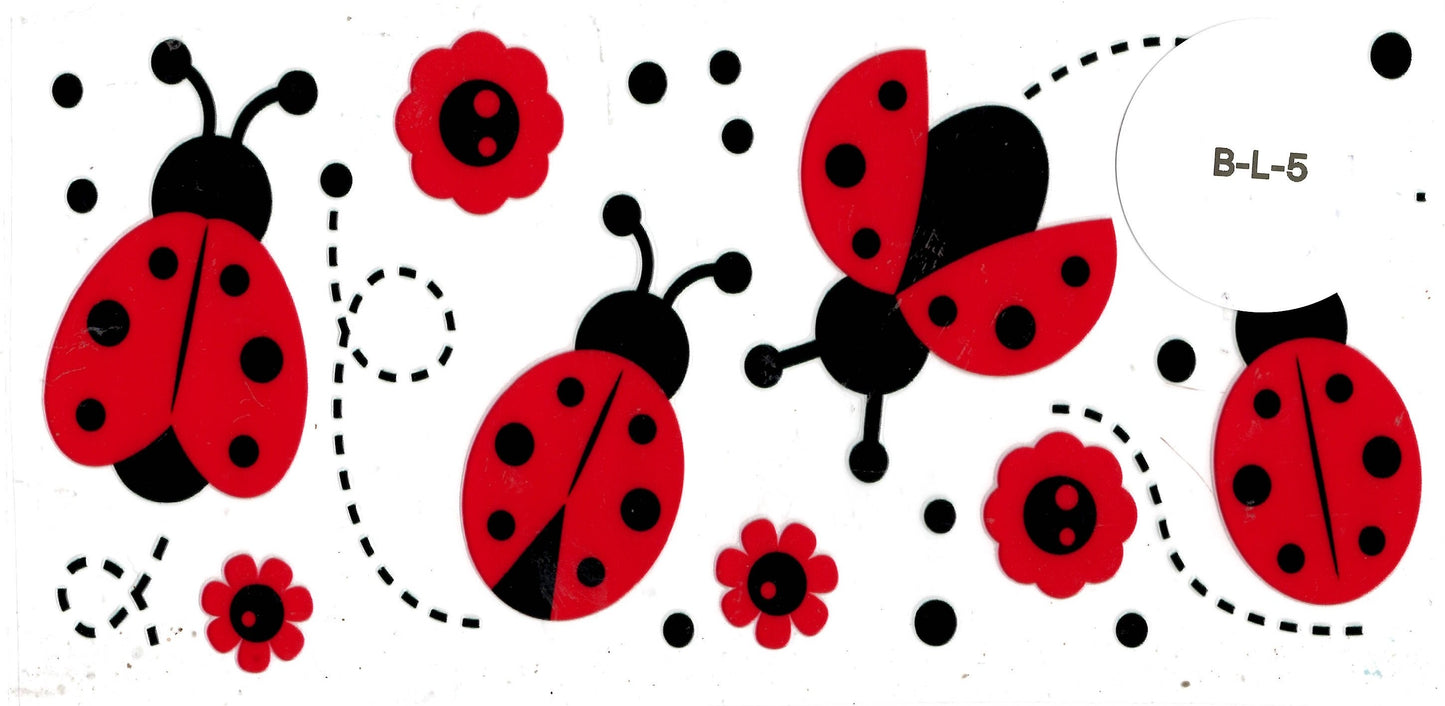 Bug - Ladybug