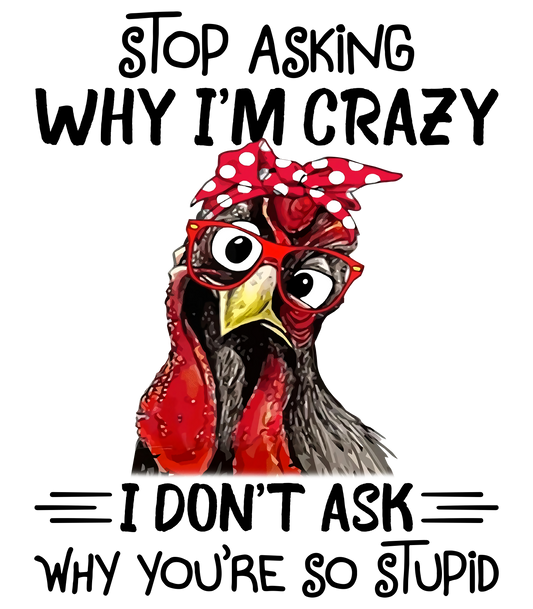 "I dont ask why you're so stupid"