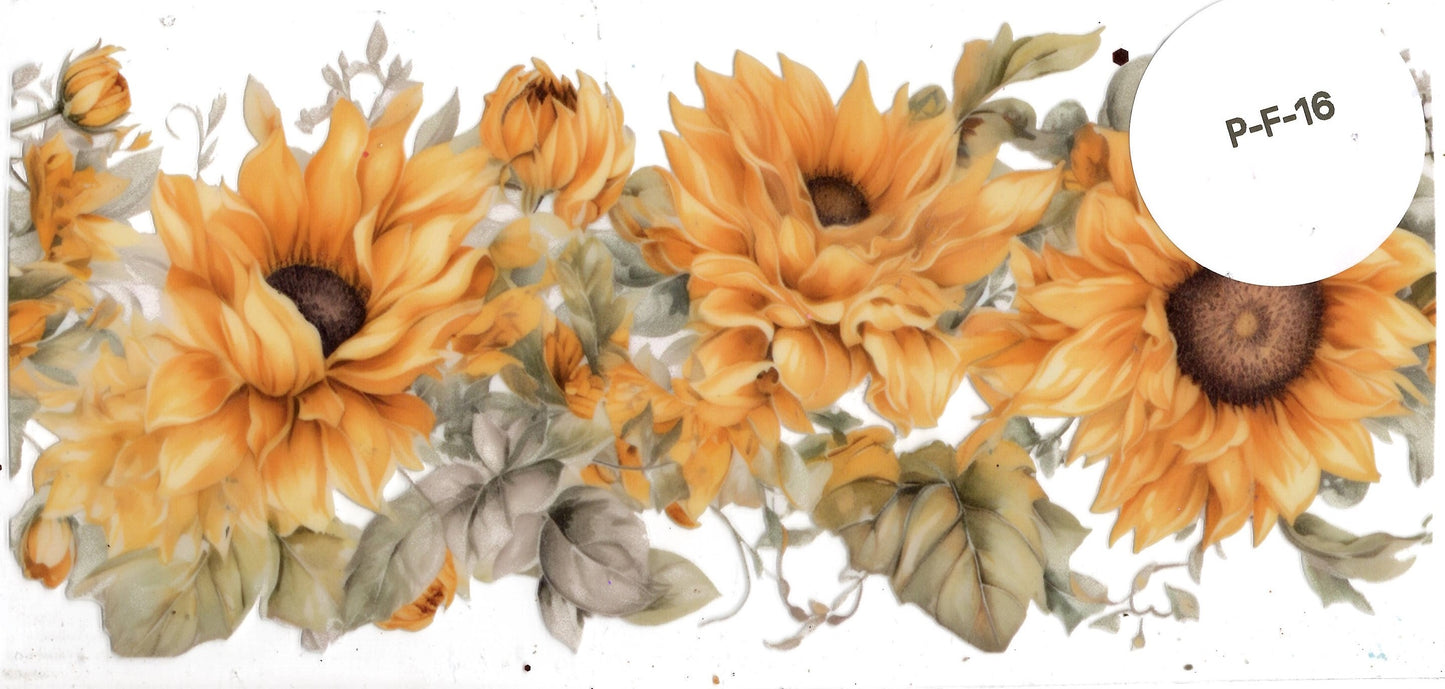 Plants - Flowers