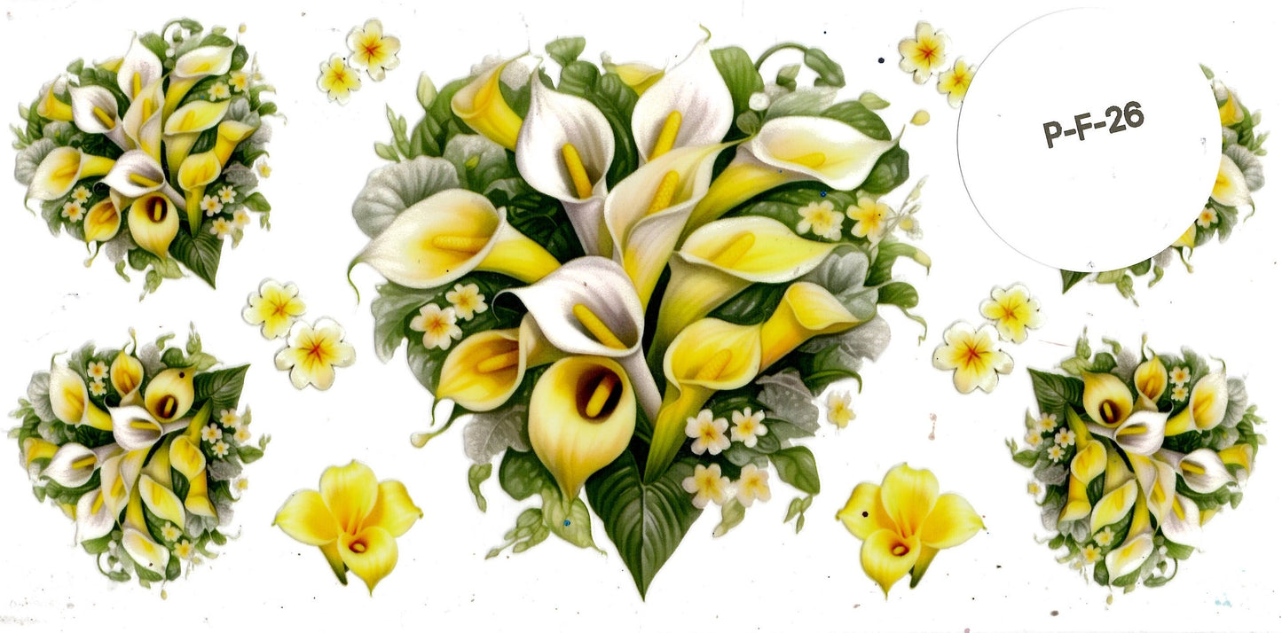 Plants - Flowers