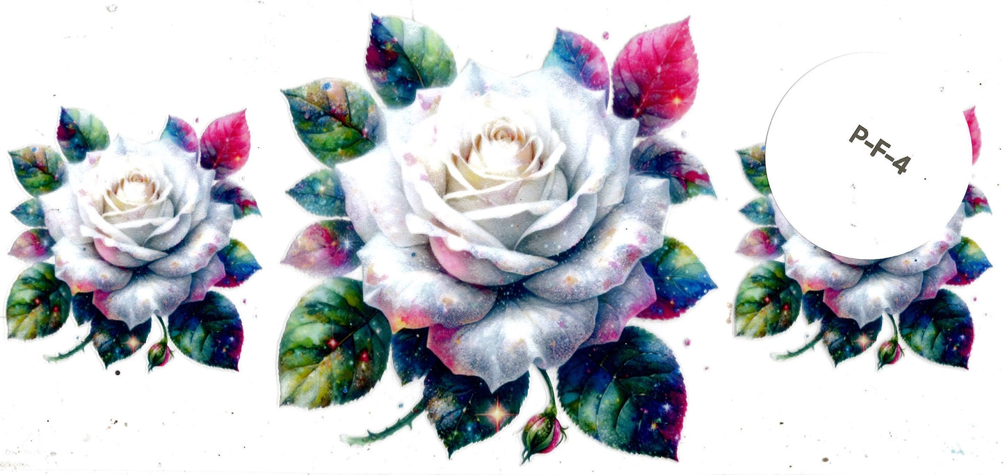 Plants - Flowers
