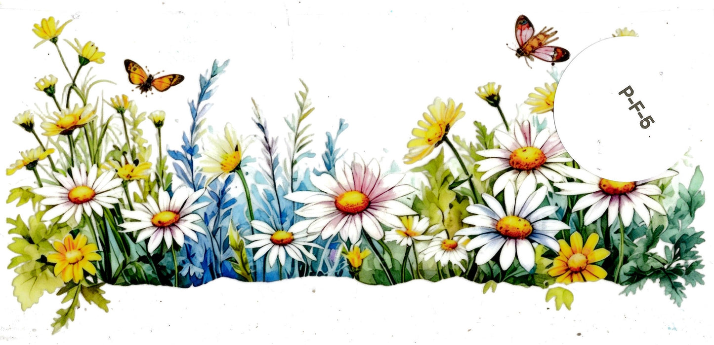 Plants - Flowers