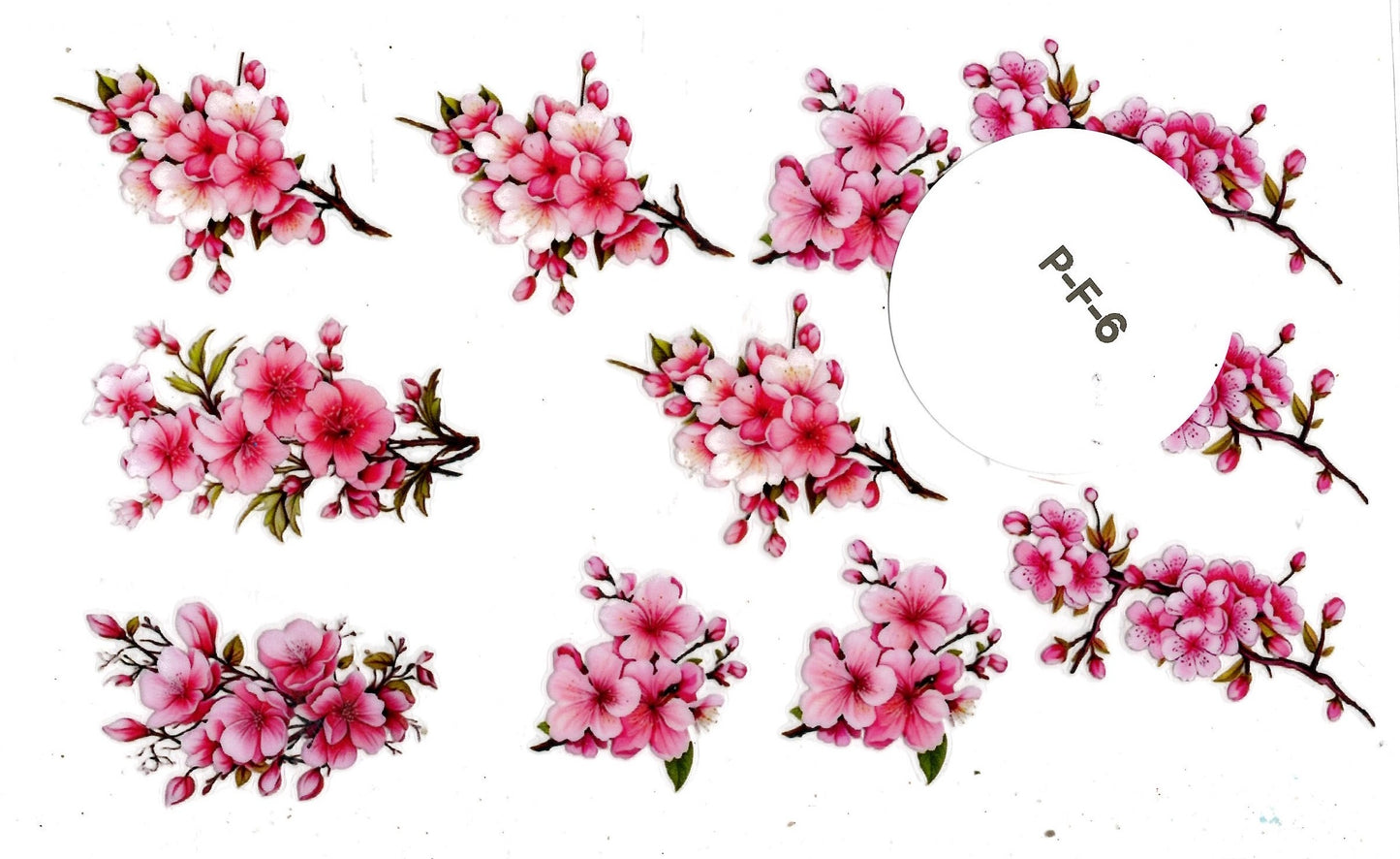 Plants - Flowers